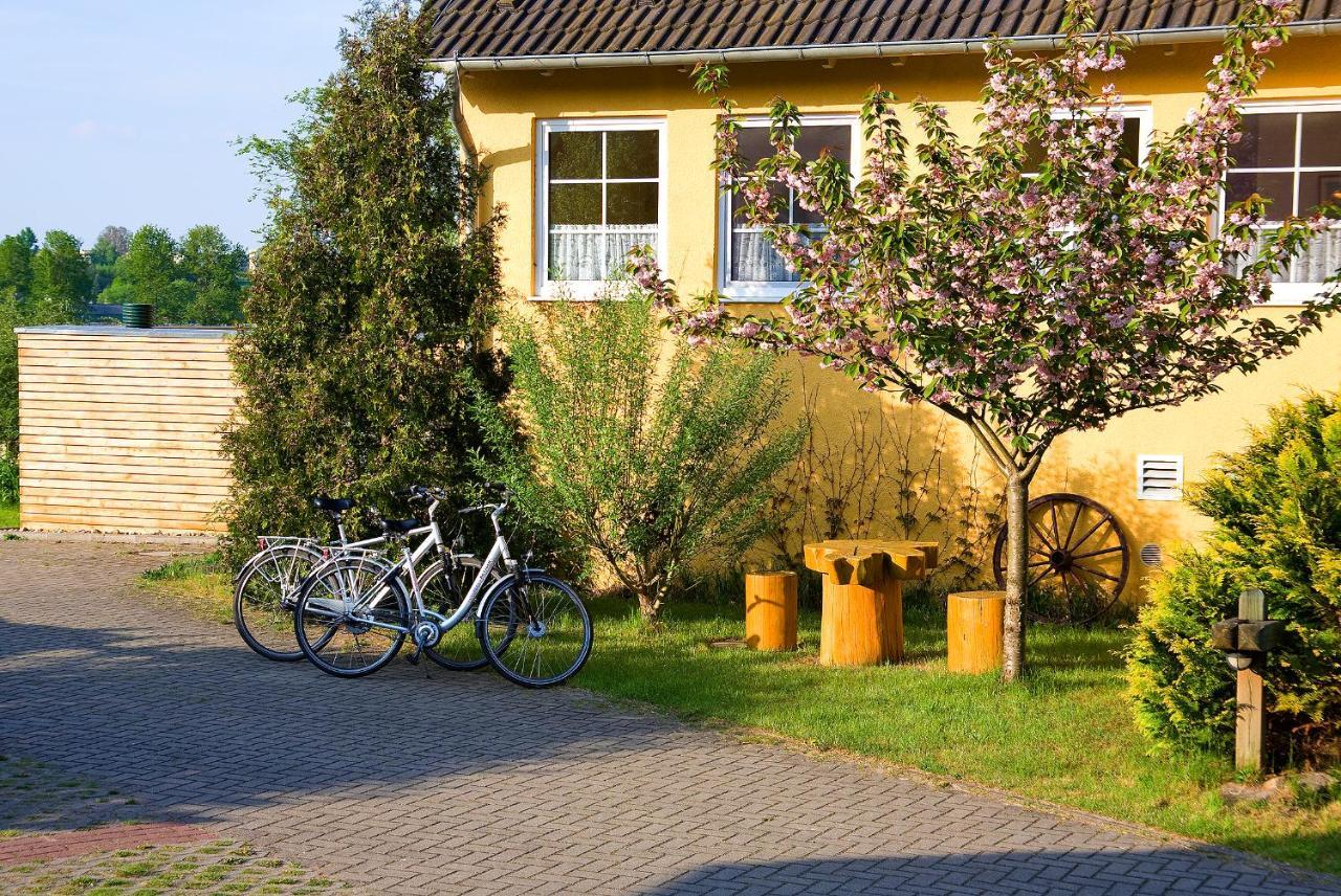 Hotel Am Mueritz-Nationalpark Waren  Eksteriør bilde